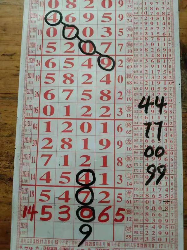 探索数字的奥秘，新浪排列五综合版走势图深度解析新浪排列五综合走势图(专业版)