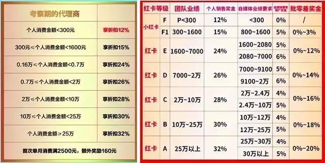 揭秘双色球，2301万分之一的奇迹—开奖号码红蓝交织之谜双色球结果开奖号码中奖查询