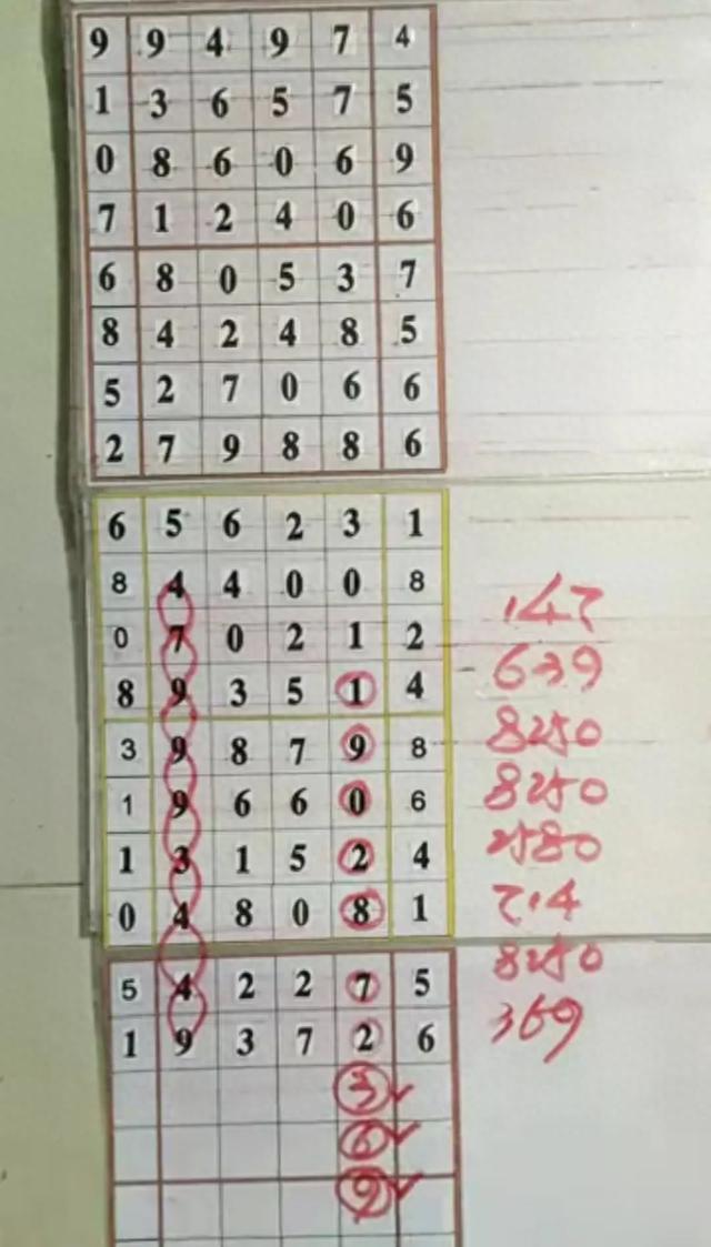 巫山体彩排列5，数字背后的奇幻之旅全国体彩排列五