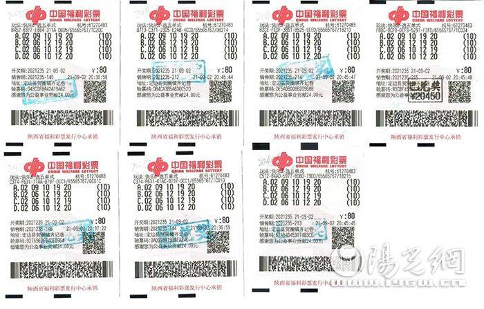 探索体彩排列5，机选号码的奥秘与乐趣排列五 机选