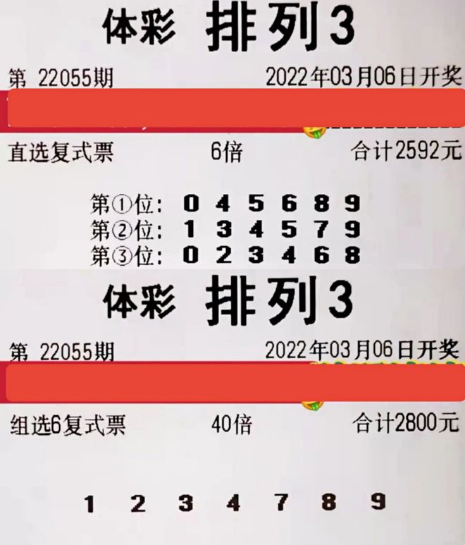 探索体彩排列三，揭秘开奖结果背后的数字奥秘体彩排列三开奖的结果怎么看