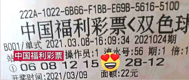 204年双色球开奖结果揭晓，梦想与幸运的碰撞双色球开奖开奖结果20240期
