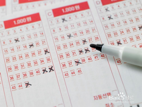 探索双色球新彩票走势图，揭秘数字背后的奥秘双色球基本走势图新彩网