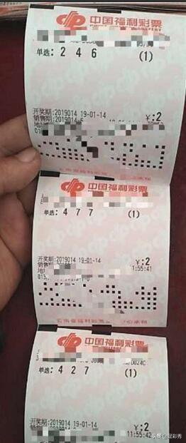今日3D开奖查询大揭秘，解锁幸运密码的全面指南今日3D开奖查询大乐透