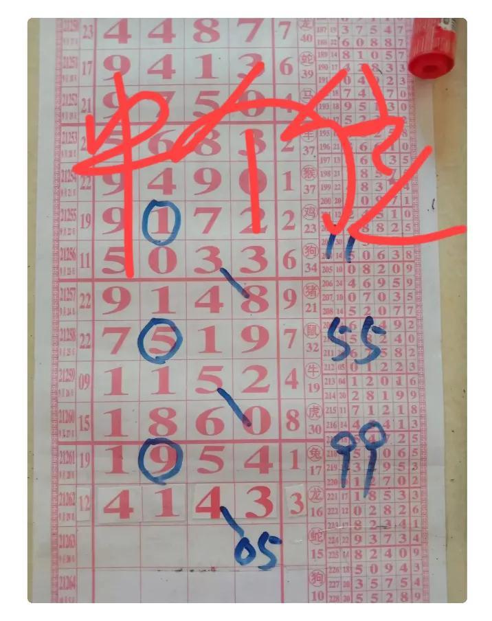 今日排列五最新开奖结果查询，揭秘数字背后的幸运密码排列五开奖结果查询今天的开奖号码