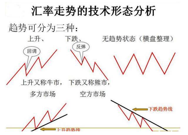 排列五往期开奖号54120的深度分析与未来趋势预测排列五往期开奖号码结果近10期