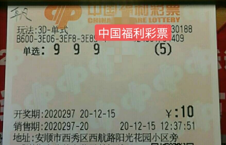 2025年6月5日 第3页