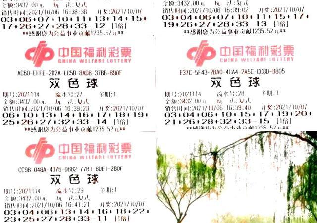 彩吧福彩票，布衣的梦想与现实交织今天福彩吧布衣树图