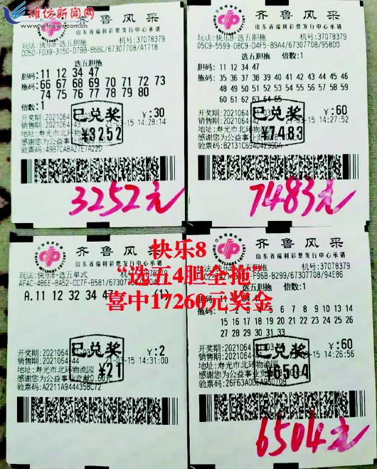 探索双色球复式票中奖的奥秘,从购买到查询全解析双色球复式票中奖查询7月14日开奖结果