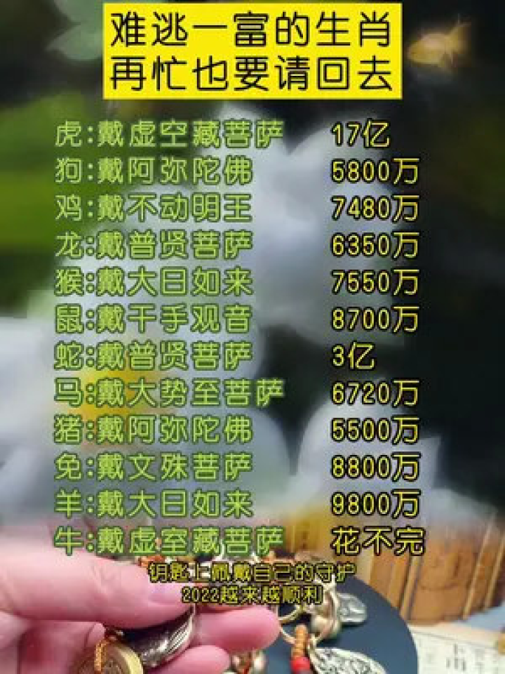 探索生肖的奥秘，从6与 1，看人生智慧生肖6 1怎么算中奖